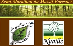 Semi Marathon du Massif Forestier